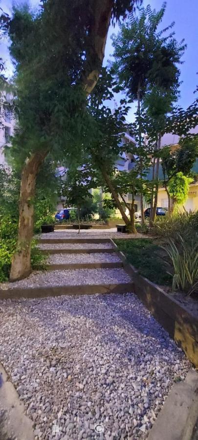 Apartment Large 1 Bedroom Penthouse With Large Terrace *